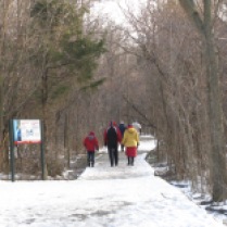 Winter walk at point pelee